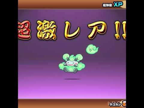 エアフワワンテ Mp3