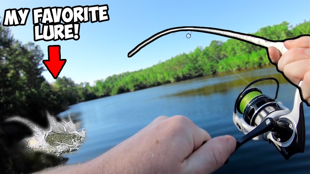 Catching tons of BIG BASS on my FAVORITE FALL LURE!!! (EPIC)