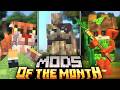TOP 30 Minecraft Mods OF The Month | January 2026 (1.20.1 / 1.21+) - Forge & Fabric