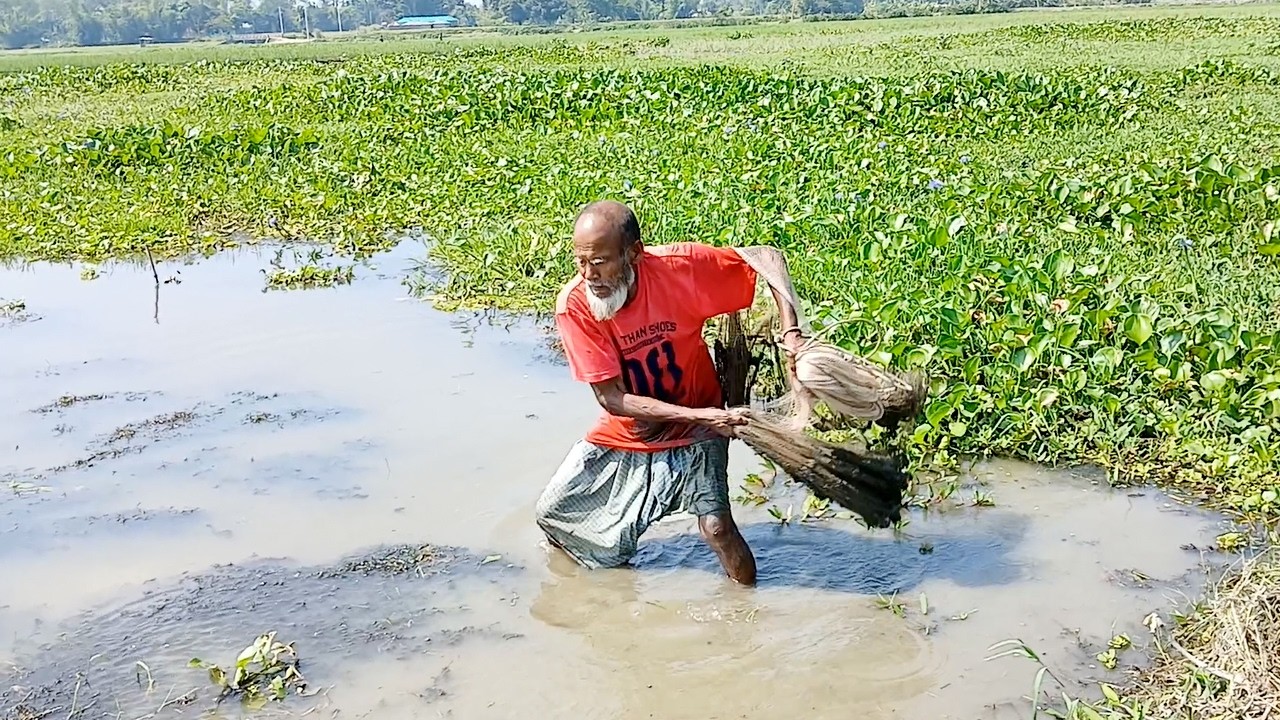 Net Fishing Video - Amazing Cast Fishing Video in River - Best Cast Net Fishing Video