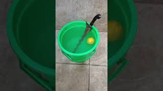 Shorts Kris Cleaning On Satu Suro