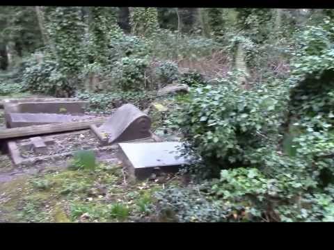 Ranker Video