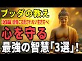【ブッダの教え】【永久保存版】怒り・不安・悲しみを超えて、感情に支配されない生き方へ！