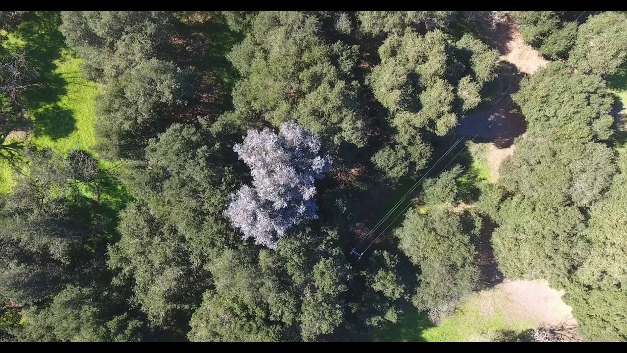 area of a trapezoid 14521 Quito Road, Saratoga | Dottie Monroe of Alain Pinel Realtors