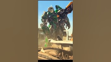 Crosshairs and Bumblebees fight