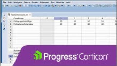 Corticon Importing an Excel Worksheet