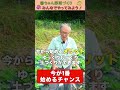 今始めるのが1番良い理由！【おうちで元気な無農薬野菜を育てよう】 #shorts