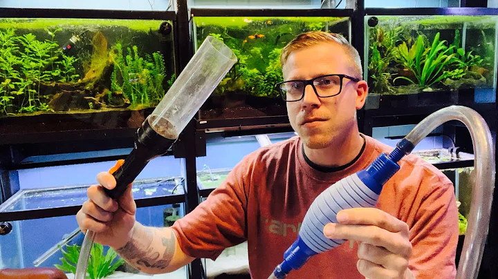 How to: Clean Aquarium Without Removing Fish