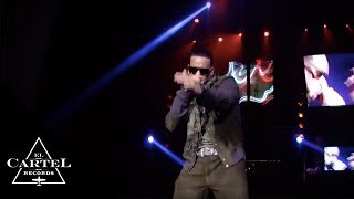 Daddy Yankee - Vivo en Inglaterra [Live]