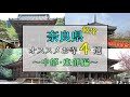 【奈良観光 オススメお寺４選（中部・東部編）】－奈良中部・東部で観光にお勧めのお寺を８分で紹介します－