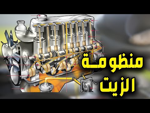 فيديو: أعلى خمسة أنماط التصميم الداخلي: أي واحد يصف لك ذلك؟ [مخطط المعلومات الرسومي]