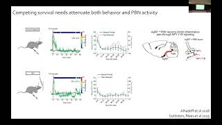 Ann Kennedy | Neural mechanisms that gate the expression of motivated behaviors