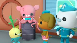 Октонавти і летюча риба — пізнавальне відео