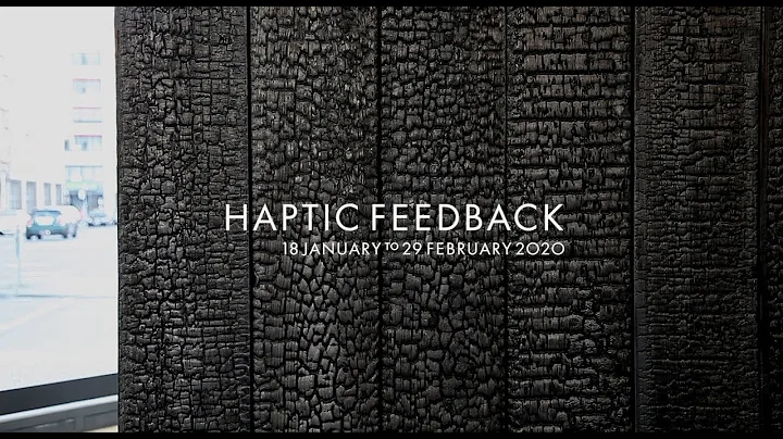 HAPTIC FEEDBACK at Galerie Thomas Schulte, Februar...