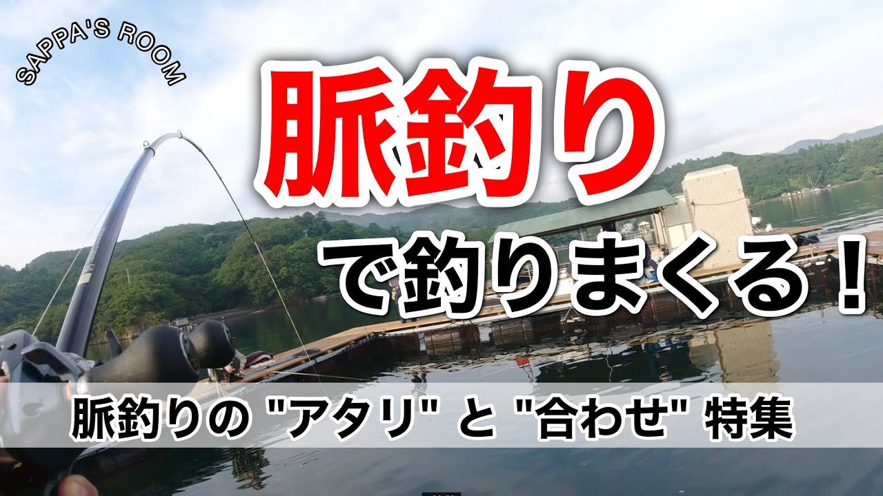 海上釣堀 脈釣りのアタリと合わせを解説 めざせ 脈釣り爆釣王 Youtube