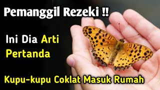 Pemanggil Rezeki !! Ini Dia Arti Pertanda Kupu-Kupu Coklat Masuk Rumah