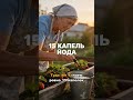 Подкормка клубники перед цветением для крупной ягоды #клубника #подкормка #огород