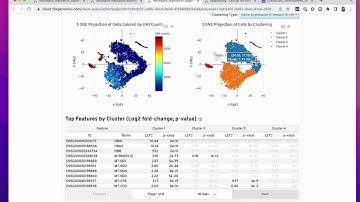 Quality Assessment Using the Cell Ranger Web Summary