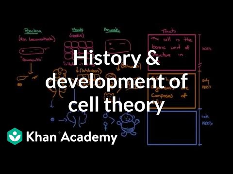 पेशी सिद्धांताचा इतिहास आणि विकास | पेशी | MCAT | खान अकादमी