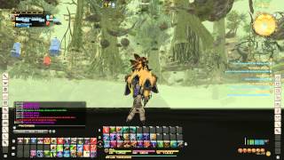 Ffxiv 2014 04 03 22 22 01 56