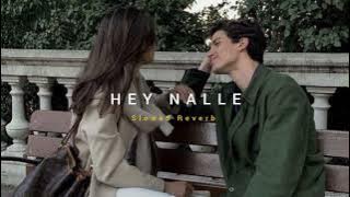 Hey Nalle ( Slowed   Reverb ) | Soul Vibez