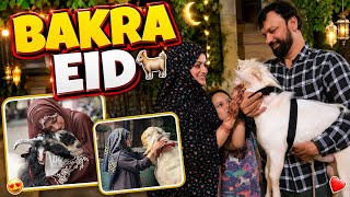 Bakra Eid 🐐✨#meenazfam #eidmubarak #eiduladha #vlog#bakra #goat #family #dailyvlog #viral #mutton 