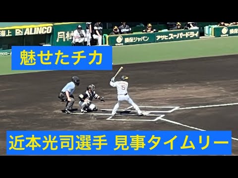 【勝利にチカづく打】阪神 #近本光司 選手 ライトへタイムリーヒット23.6.17.#交流戦 🆚 #ソフトバンク 🏟 #阪神甲子園球場