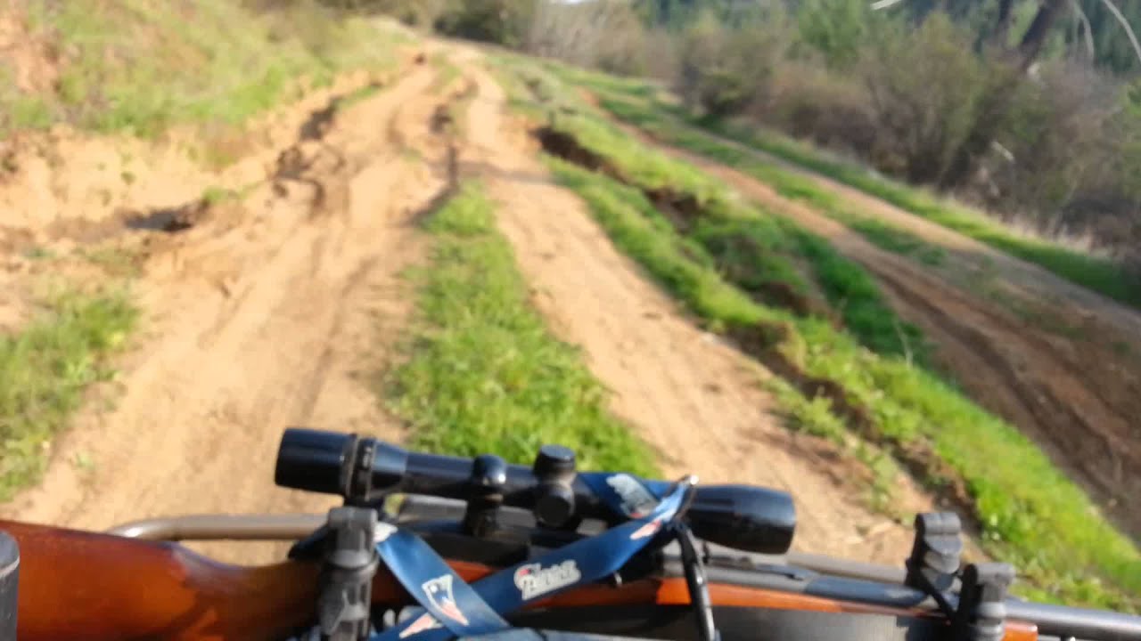 Riding around in areas burned in the Hull Mountain Fire