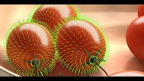 CG101: What are Normals?