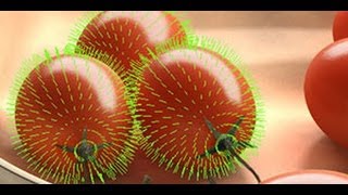 Famous CG101: What are Normals? Wealth