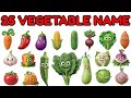 25 Vegetables Name English Hindi | Sabjiyon Ke Naam | Preschool Science | Kids Learning | USA CANADA
