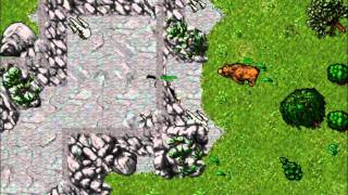 tibia mount - how to tame a bear.....wmv