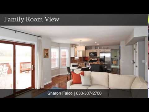 107 N Windham Lane, Bloomingdale, IL home video tour