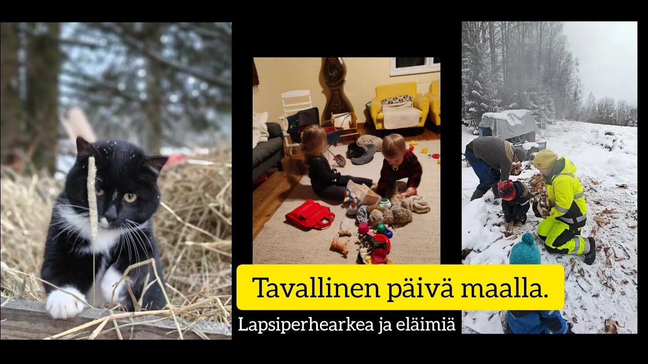 Tavallinen arkipäivä maalla lasten ja eläinten kanssa. 