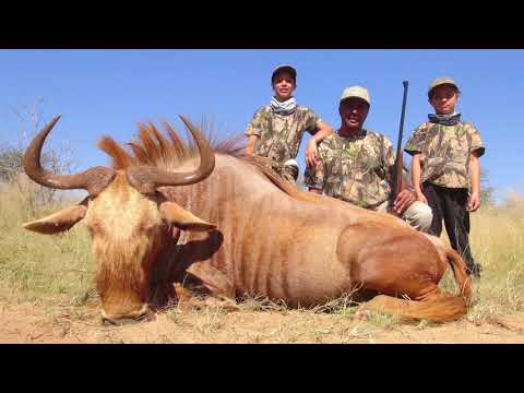 Hunting Honey Badger in South Africa - Somerby Safaris