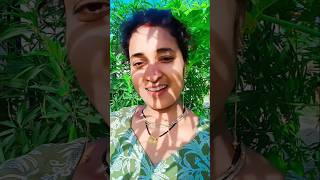 16 bars ki bali Umar ko salam ay pyar Teri ❤️ #trending #shorts #song #viralshorts