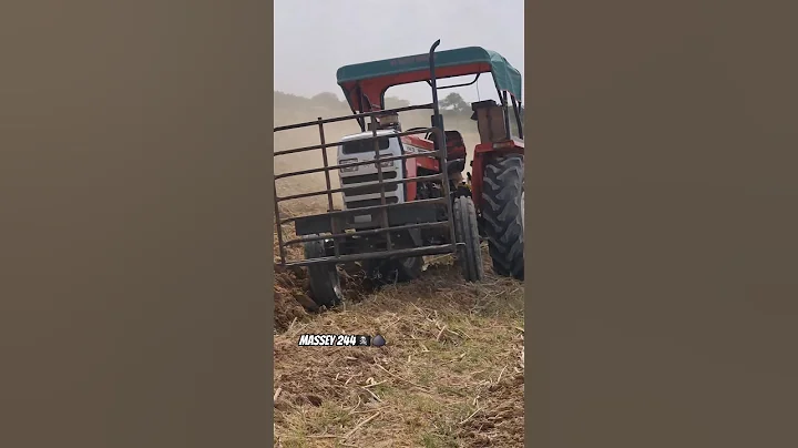 Massey ferguson 244 NEW MODEL.  #punjabi ##farming #agriculture #farm #farmlife #farmer #trac