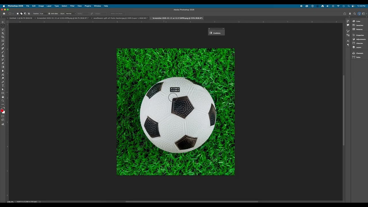 Elliptical Marquee Tool