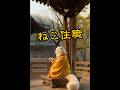 【#ねこ住職 第97話 まずは針素直に生きてゆこうにゃ！な！の巻】