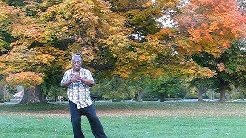 Meridian Tracing - part 3 of 3 - by Master Maurice Haltom