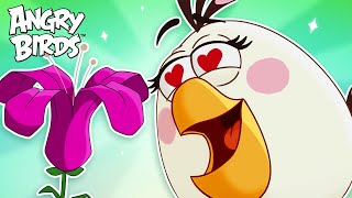 Angry Birds Planting With Matilda