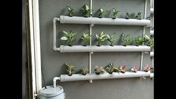 Hydroponics Setup At Home 48 Plants