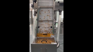 Vision Inspection System for Plastic Cap Manufacturer #automaticpackingmachinery #closure