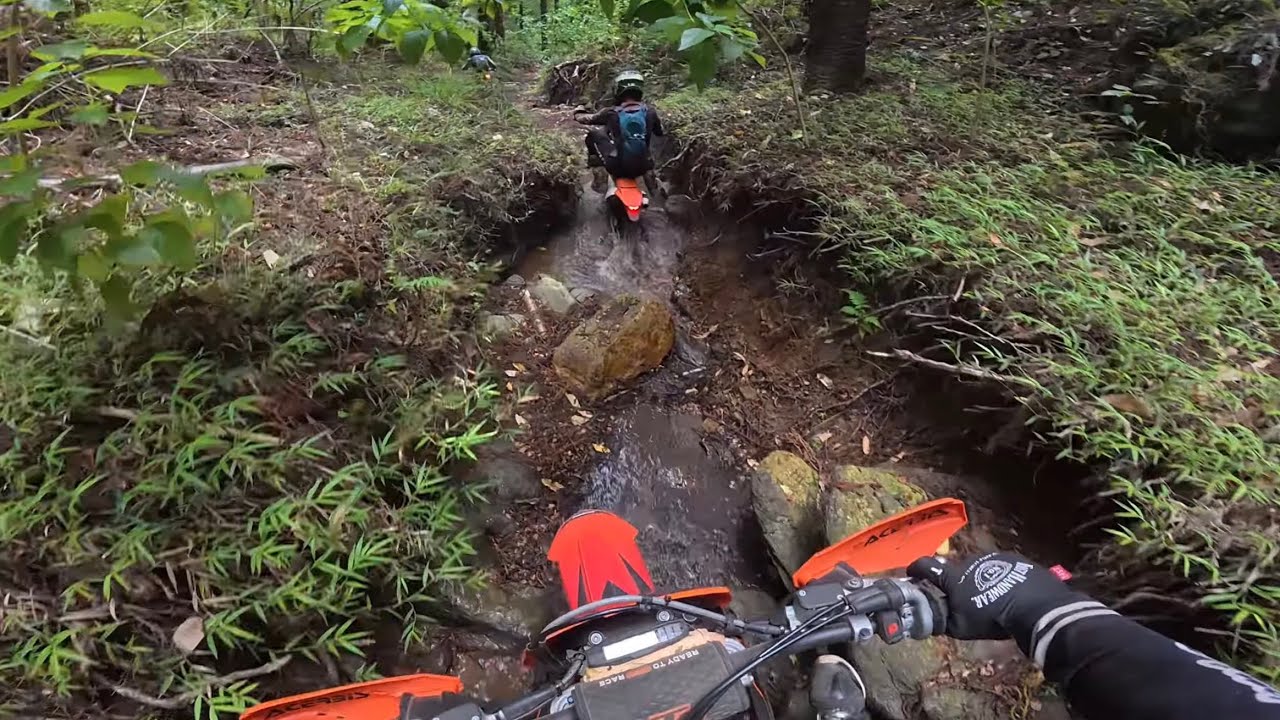 300 2-stroke or 500 4-stroke? Who cares! Awesome trails in SEQ.
