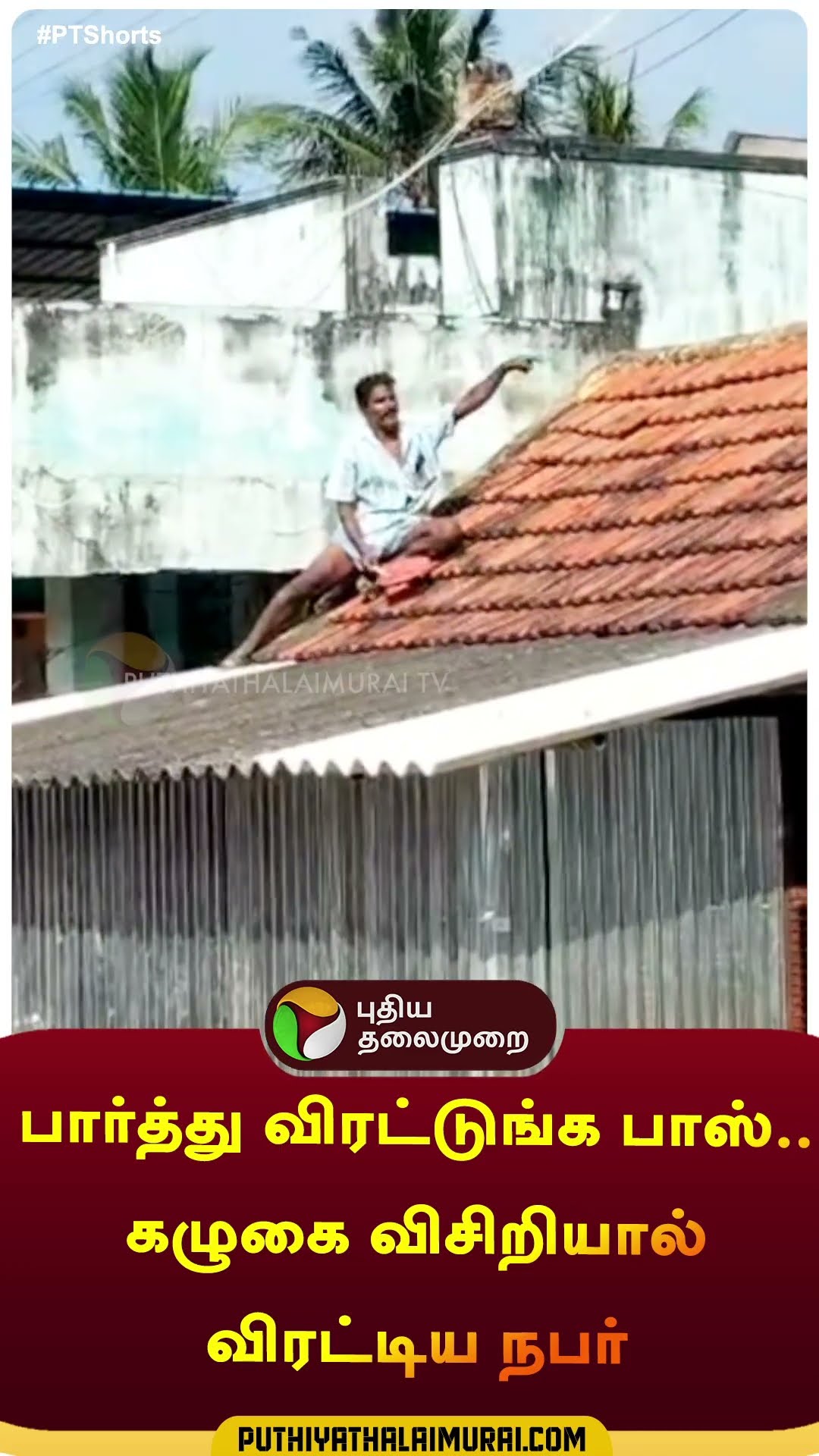 பார்த்து விரட்டுங்க பாஸ்.. கழுகை விசிறியால் விரட்டிய நபர் | #shorts | #eagle | #cuddalore | #gps