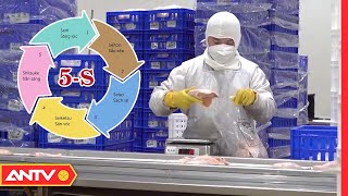 The 5S Model and Environmental Protection Initiatives in Businesses | Environment and Urban | ANTV