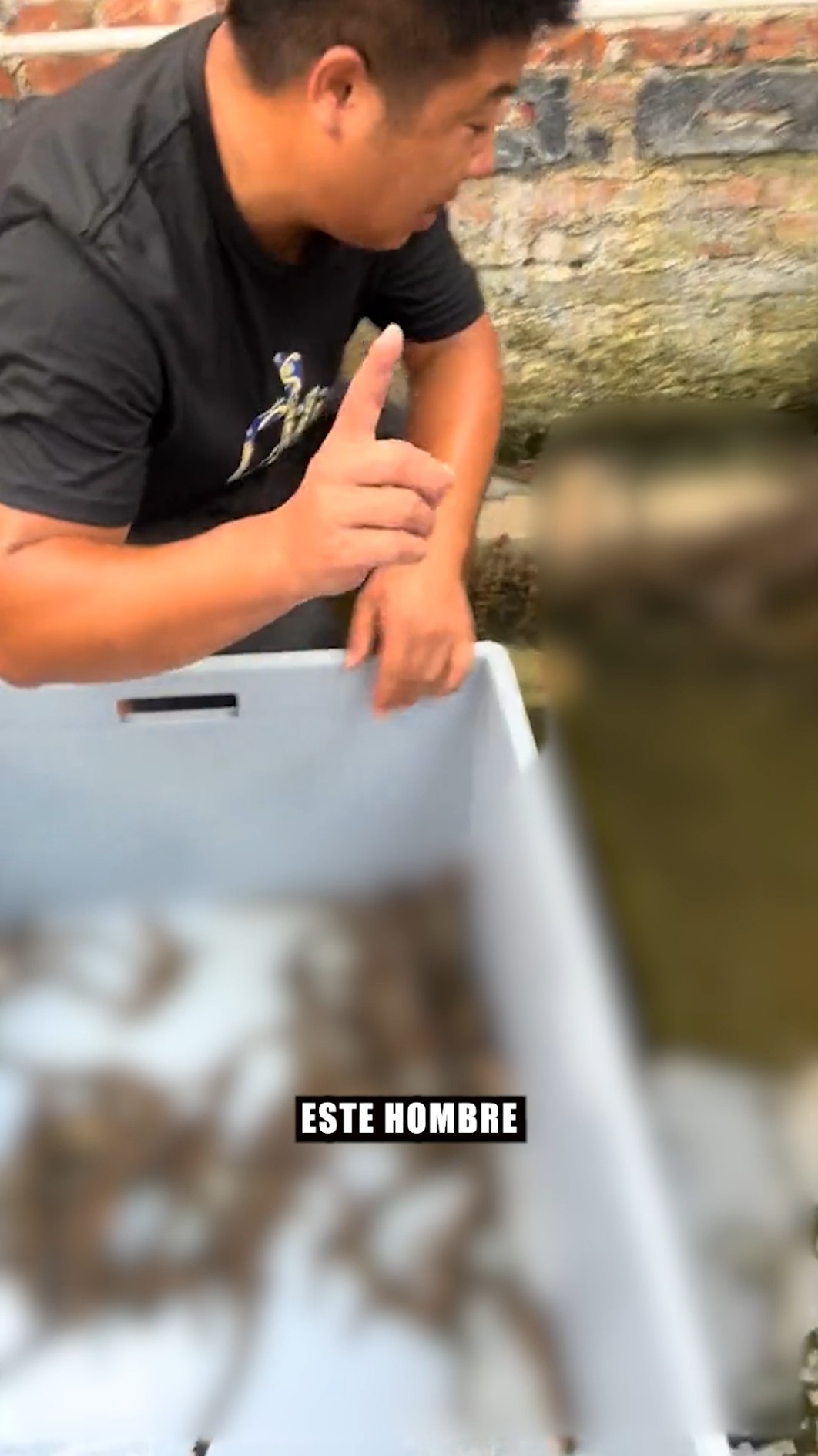 Metió la mano en el agua… y vio ESTO ??