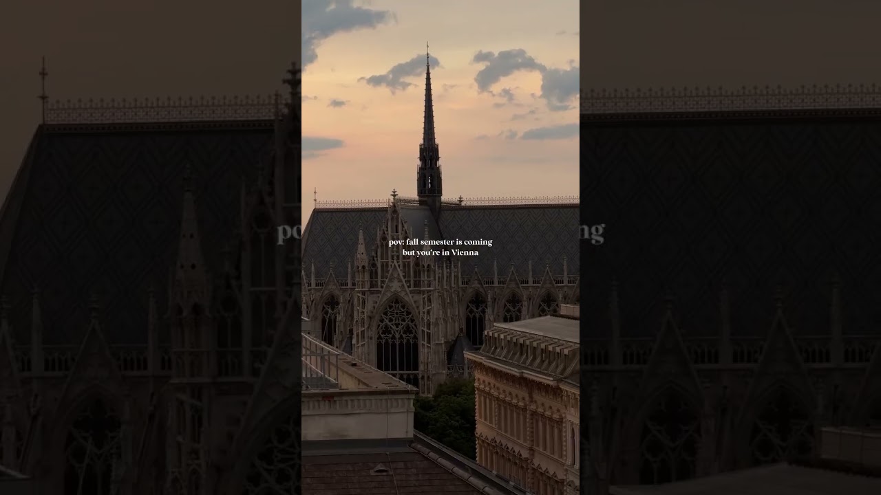 This is what studying in Vienna looks like 🎓🇦🇹