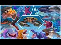 Evolved sharks vs giant crab vs regular sharks hungry shark evolution