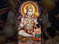 किस पेड़ के पत्ते को चबाने से पीले दांत सफेद हो जाते हैं?#subscribe #shorts